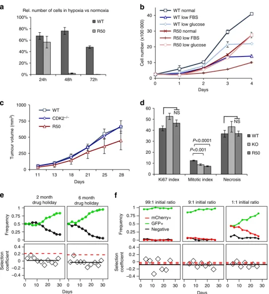 Fig. 3 CDKi-resistant cells have lower proliferative ﬁ tness in vitro and in vivo. a WT and R50 cells were grown in 1% O 2 