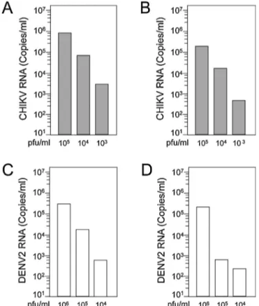 Fig. 3. Quantitative analysis of RNA in CHIKV and DENV2 captured on anionic polymer-coated magnetic beads