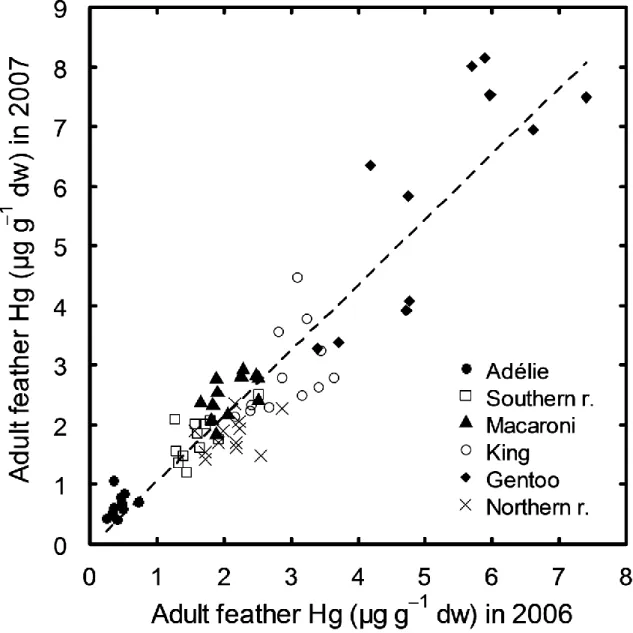 Fig. 2. Positive correlation between feather Hg concentrations (μg g −1  dw) of individual adult  penguins during two consecutive years (2006 and 2007) from different sites of the French  Austral Territories