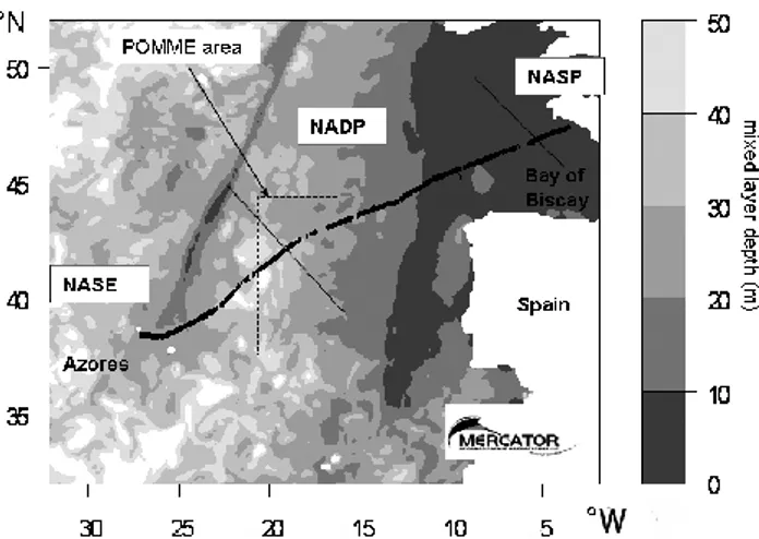 Fig. 1. Sampling area. The ship track is superimposed to the aver- aver-aged mixed layer depth map from the 14 April to the 25 April 2007, derived from the MERCATOR model of the MERCATOR Ocean’s group