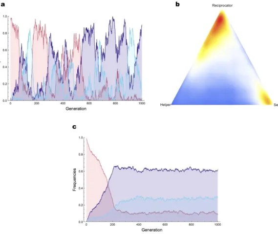 Figure 2.  Evolutionary dynamics of Selfish, Reciprocator, and Helper. Here we simulate the evolutionary dynamics  of the three genotypes from their payoffs as shown in Table 1 in a population of 100 individuals, or 10 4  individuals