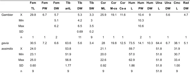 TABLE 2. Summary statistics (X, mean; Min minimum; Max maximum; n count) of measurements (mm) of bones listed as Puffinus magn