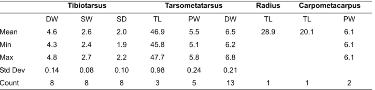 TABLE 3. Summary statistics of measurements (mm) of Nesofregetta fuliginosa from Kitchen Cave, Gambier Group (KAM-1)