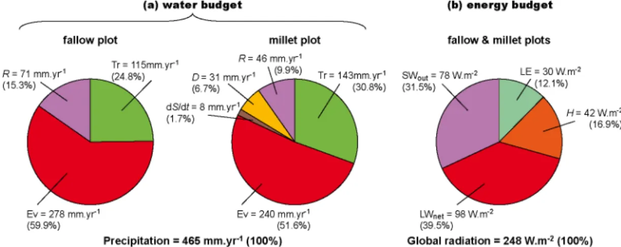 Figure 4. Estimated mean annual (a) water and (b) energy budgets for fallow and millet plots (average of two plots for energy budget, given their similarity at that aggregation scale)