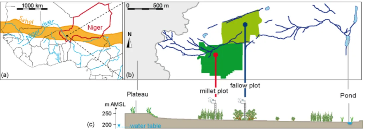 Figure 1. Situation of study plots: (a) location in Sahelian southwestern Niger, West Africa, (b) planar and (c) cross-sectional views of Wankama hillslope with plot locations (modified after Ramier et al., 2009; vegetation and towers not sketched to scale