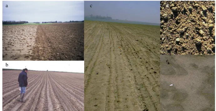 Fig. 6. Effects of the tillage operations on sealing, roughness, and surface runoff. (a) Crusted surface 3 