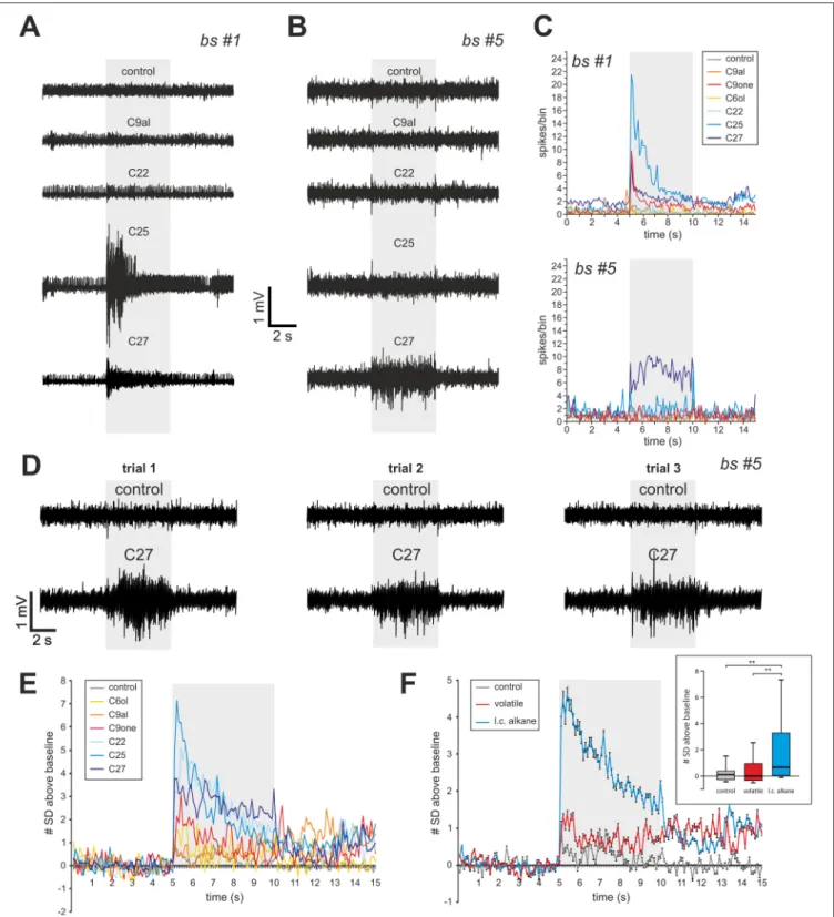 FIGURE 6 | Single sensillum recording from basiconic sensilla 2. (A) Responses of sensilla #1 (A) and #5 (B) to 5 s presentations of 3 long-chain alkanes (docosane, C22; pentacosane, C25; heptacosane, C27), one volatile aliphatic odorant (nonanal, C9al) an