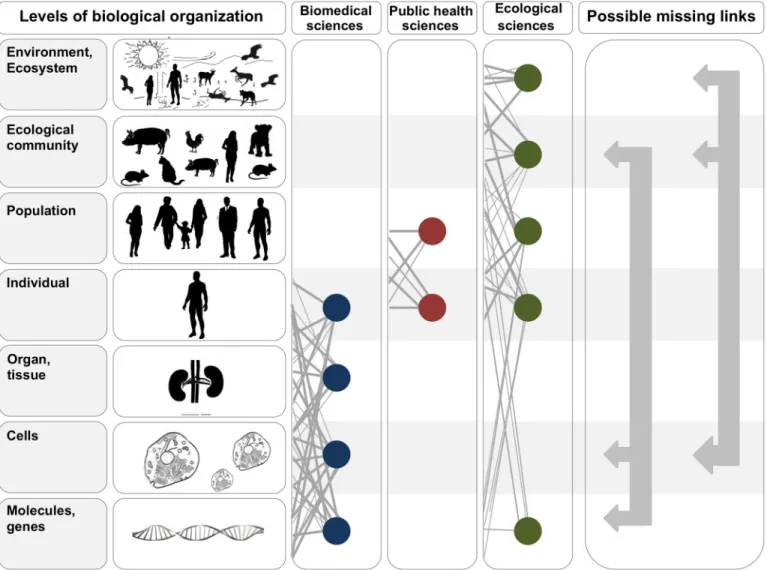 Fig 1. In the two leftmost panels, we depict the hierarchy of biological organization, from molecules and genes to ecosystems