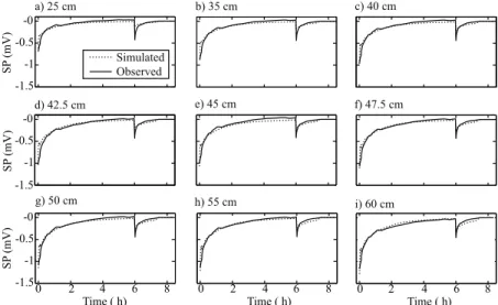 Figure 4. Simulated and observed SP data at selected locations. Distances (cm) are relative to the bottom of the column.