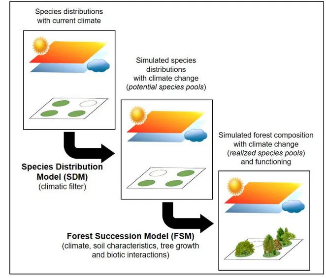Fig. 1: Models coupling used in this study. First, climatic suitabilities for 25 species were 710 