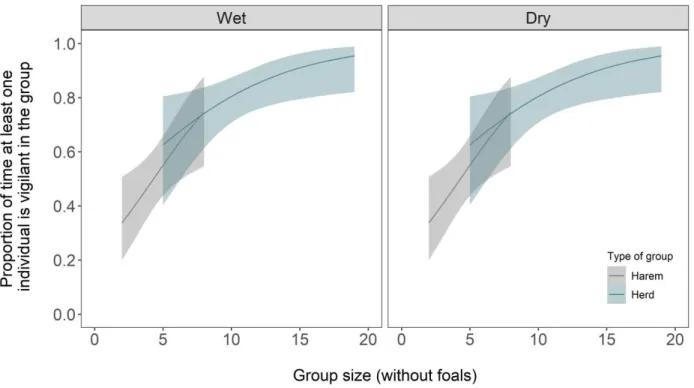 Figure 4. Proportion of times at least one individual is vigilant in the group in relation to group  size (without foals) in wet and dry seasons