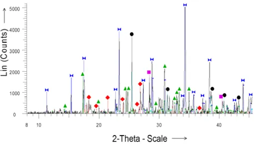 Fig. 1. XRD pattern of crude extract
