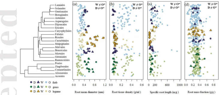 Figure  2. The domesticated and wild  progenitor  species of this  study  in  the context  of  botanical  diversity  of  four  root  traits:  mean  root  diameter  (a),  root  tissue  density  (b),  specific  root  length  (c)  and  root  mass  fraction  (