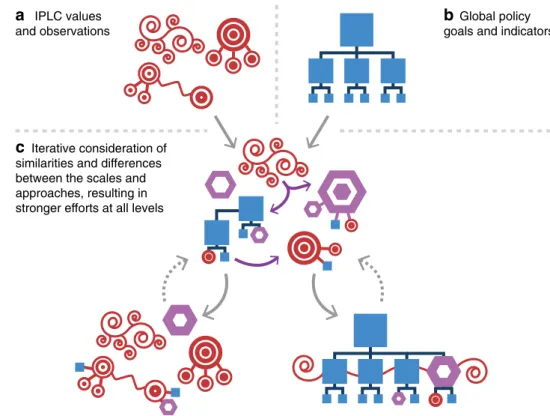 Fig. 1    Approaches to devel- devel-opment of goals and  indica-tors: learning across levels