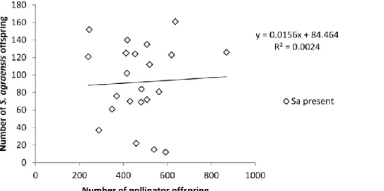 Fig.  4.  Lack  of  correlation  between  number  of  pollinator  offspring  and  number  of  Sycophaga  agraensis  offspring