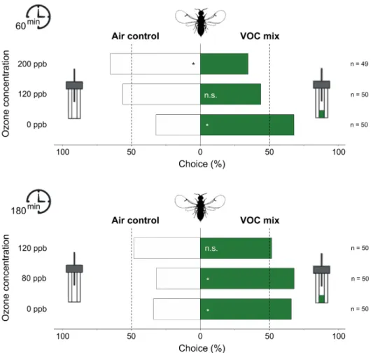 Figure 3. Effect of O 3 exposure on the attraction of fig wasps to the VOC mix mimicking fig odor or clean air in Y-tube olfactometers (n, number of specimens tested)
