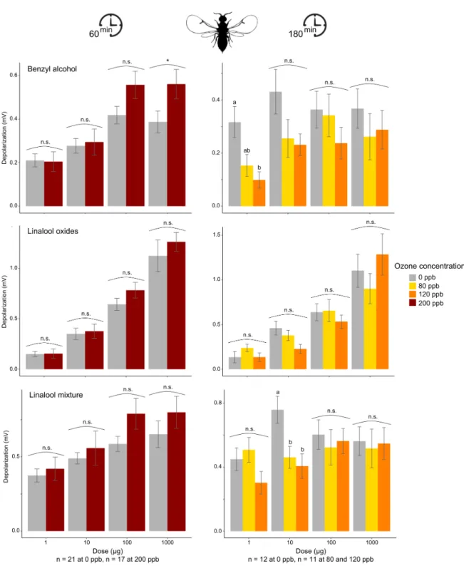 Figure 1. The effect of O 3 exposure on the electroantennographic (EAG) responses (mean ± SE) of fig wasps to different doses of four synthetic volatile compounds (n, number of specimens tested)