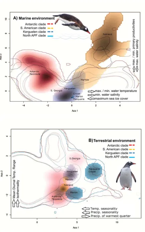 Figure 3. Spatialized Principal Component Analysis of the marine (A) and terrestrial (B)  niche  for  the  four  main  gentoo  penguin  clades,  visualized  as  density  clouds