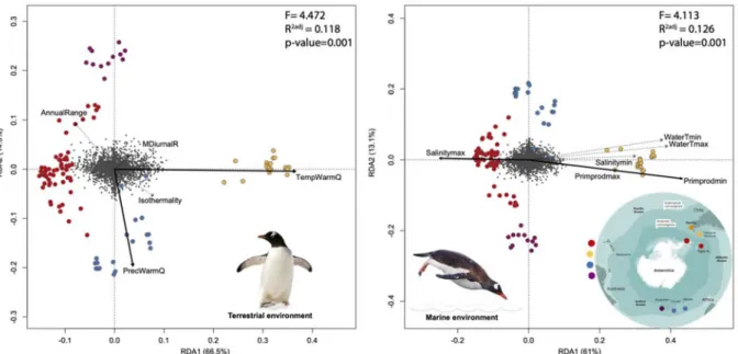 Figure  4.  Partial  Redundancy  analysis  (RDA)  showing  the  relative  contribution  of  terrestrial  (left)  and  marine  (right)  bioclimatic/environmental  variables  to  the  genetic  structure of the gentoo penguin controlling for the effect of spa
