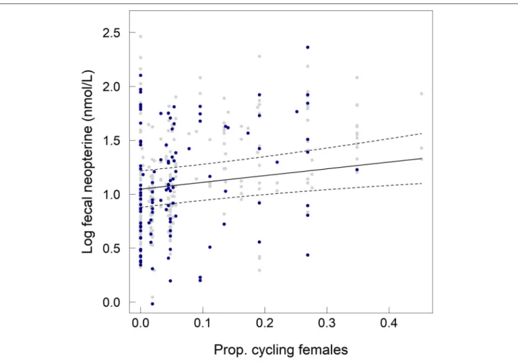 FIGURE 2 | Influence of the proportion of cycling females in the group on fecal neopterin concentrations (log-transformed) across individuals of both sexes and all ages