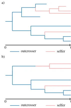 Figure 9: Illustration of a tree with cladogenetic state changes. In panel a), the tree constructed in forward time with parameter value p = 1 is shown, while in panel b), the same tree in a), reduced at time t, is given