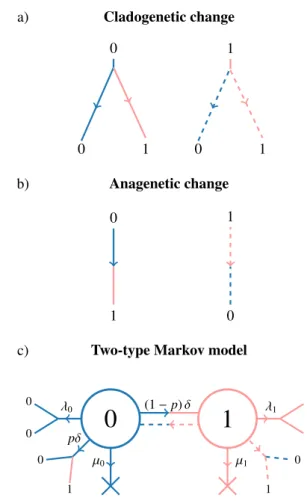 Figure 1: Diagrammatic representation of cladogenetic state change, anagenetic state change, and the Markov branching process