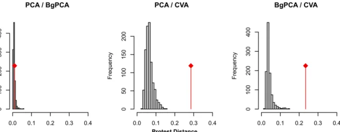 Fig 5. Effect of homogeneizing variances on the pattern of differentiation provided by PCA, bgPCA and CVA