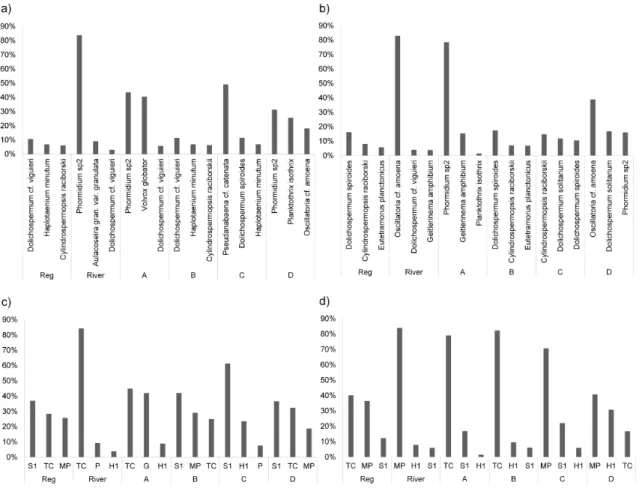 Figure 3: Bar graph of the most representative phytoplankton species and functional groups