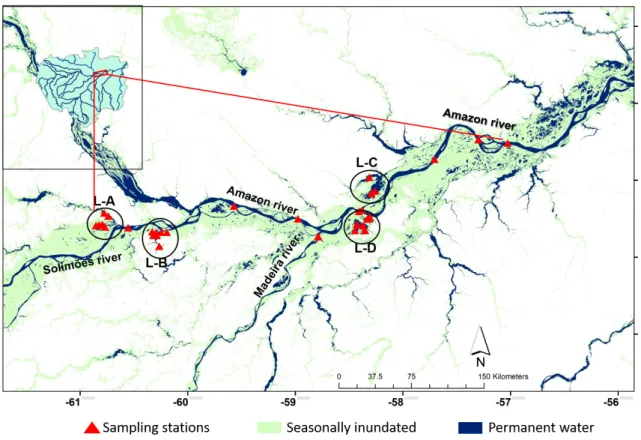Figure 2: Map of study area with locations of the lakes and sites of sampling units in the main  channel of the Amazon River and in 4 floodplain lakes (L-A, L-B, L-C and L-D)  