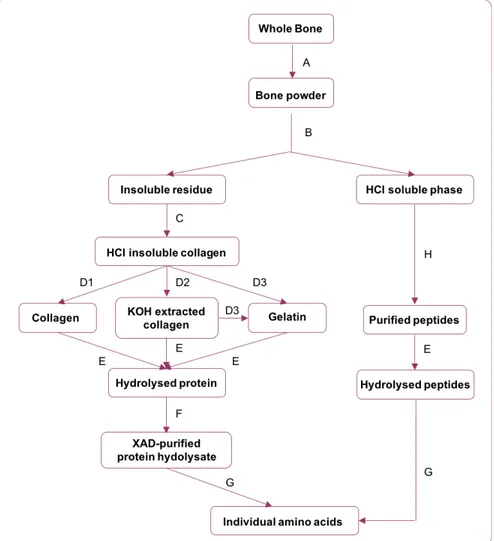 Figure 1: Flow diagram showing pretreatment methods used by Tom Stafford and discussed in this 