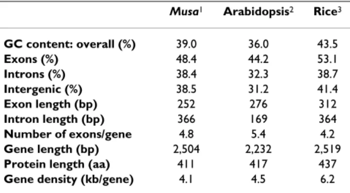 Table 2: Features of Musa genes in comparison with those of  Arabidopsis and rice.