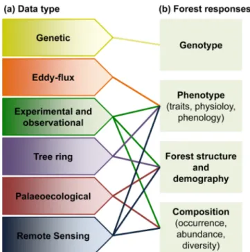 Fig. 2. Relationships between (a) the data that can be used to detect and inform on (b) the biological levels at which forests may respond as a result of climate change.