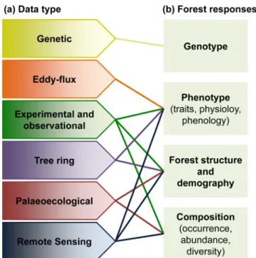 Fig. 2. Relationships between (a) the data that can be used to detect and inform on (b) the biological levels at which forests may respond as a result of climate change.