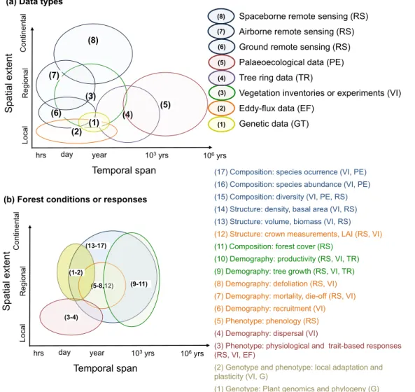 Fig. 3. Harmonised picture of (a) data types and (b) forest conditions or responses to climate change depending on the spatial extent at which it is generally gathered (from local to regional and continental) and temporal span (i.e