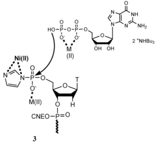 Fig. 4 Hypothetic mechanism for polymetallic participation in the coupling reaction.