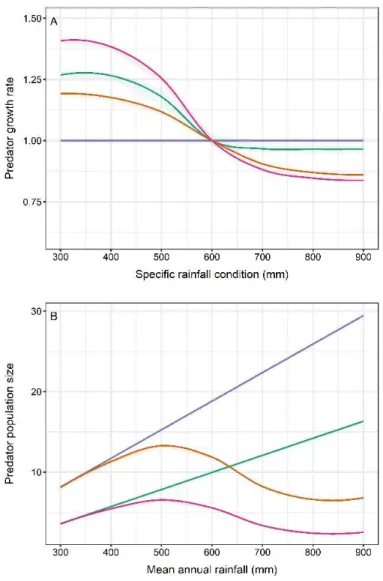 Figure  S2:  (A)  Immediate  response  of  predator  populations  to  a  specific  rainfall  condition