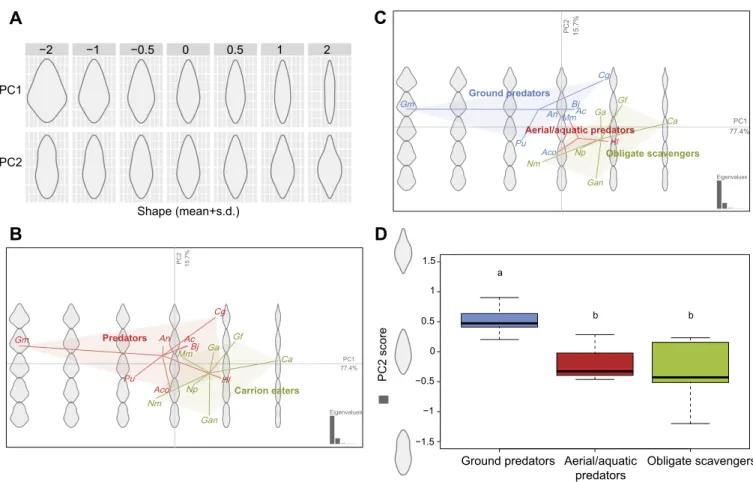 Fig. 4. Results of principal component analysis. (A) Aspects of binocular field shapes captured by the first two principal components