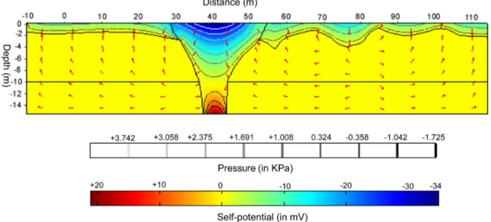 Figure 12. Comparison between the self-potential signals determined at the ground surface using the finite element model (see Figure 11) and the self-potential measurements performed along profile P1 (see position on Figures 1 and 2).