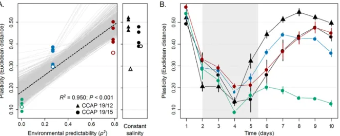 Figure S4. Analyses of isogenic populations. A. Evolution of plasticity at day 10. Isogenic  populations were founded from a single cell from three different evolved lines under  ρ  = -0.022  (green),  ρ  = -0.522 (blue) and  ρ  = 0.889 (red) and two strai