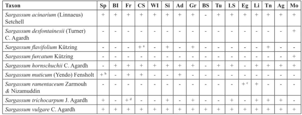 Table 1. 'LVWULEXWLRQRIFXUUHQWO\DFFHSWHGWD[DDFFRUGLQJWR*XLU\ *XLU\RIWKHJHQXV Sargassum in the Mediterra- Mediterra-nean Sea and Black Sea (data from Ribera HWDO 1992; and updated as by Ben Maiz HWDO=DUPRXK 1L]DPXGGLQ