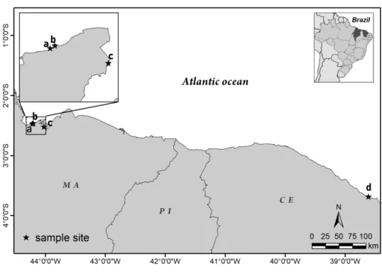 Fig. 1. Part of the Brazilian Semi–Arid Coast at the northern region of the Brazilian coast, with the location of  sampling sites