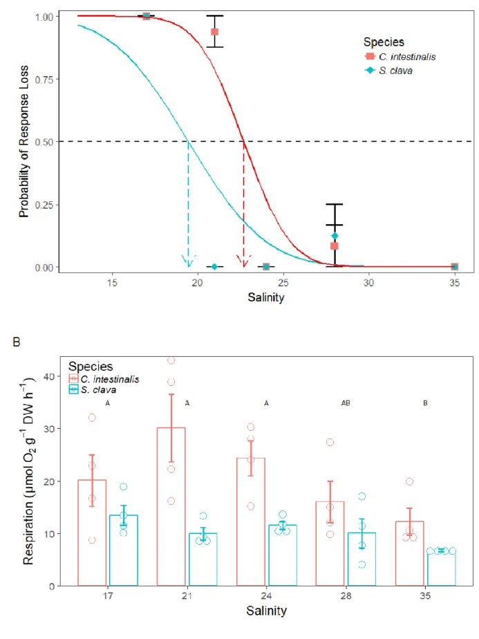 Figure 3: A) Mean probability of the loss of response (±SE) and B) respiration (μmol O 2  g −1  dry 251 