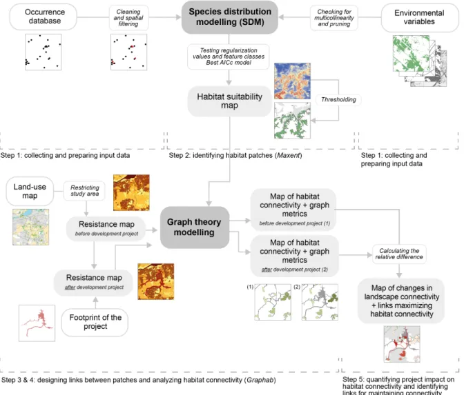 Fig. 1. Methodological framework applied to evaluate potential change in each species’ habitat connectivity after  development project.