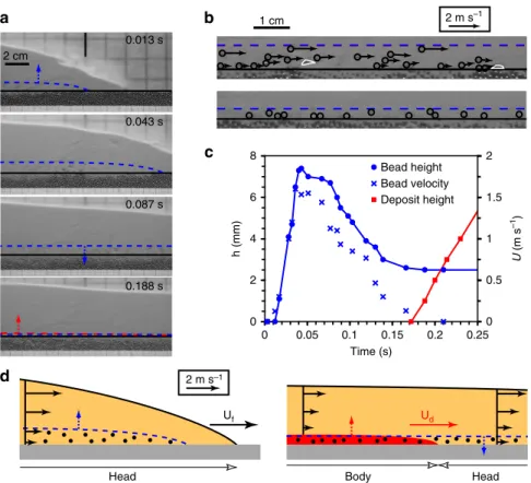 Figure 6 | Laboratory experiment of air-particle ﬂow on a granular substrate. (a) Snapshots from high-speed videos at sequential times after passage of the ﬂow front at middle of images (vertical black line) in experiment C3 (repeated six times, Supplement