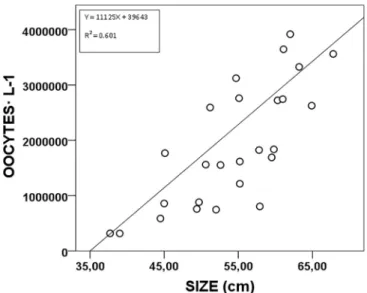 Fig. 1. Correlation between broodstock size (Ht) and number of oocytes expelled per L.