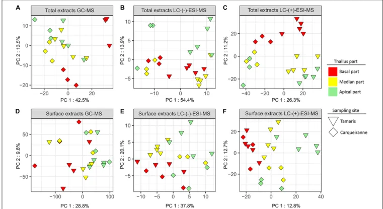 FIGURE 4 | PCA plots of GC-MS (A,D), LC-(−)-ESI-MS (B,E), and LC-(+)-ESI-MS (C,F) metabolomics analyses of surface and total extracts of T