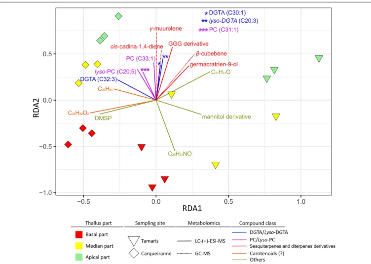 FIGURE 6 | Weighted UniFrac distance-based redundancy analysis (db-RDA) plot constructed with the 16S rDNA dataset of epibacterial communities at the surface of T