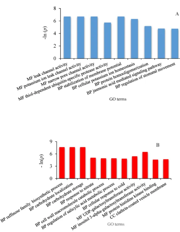 Figure 6. GO annotation of differential transcripts of Q. pubescens  in  spring  as  a  function  of  the  enrichment p value p &lt; 0.01