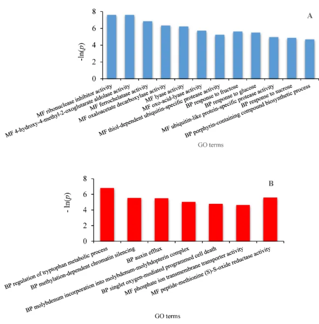 Figure 7. GO annotation of differential transcripts of Q. pubescens  in  summer  as  a  function  of  the  enrichment p value p &lt; 0.01