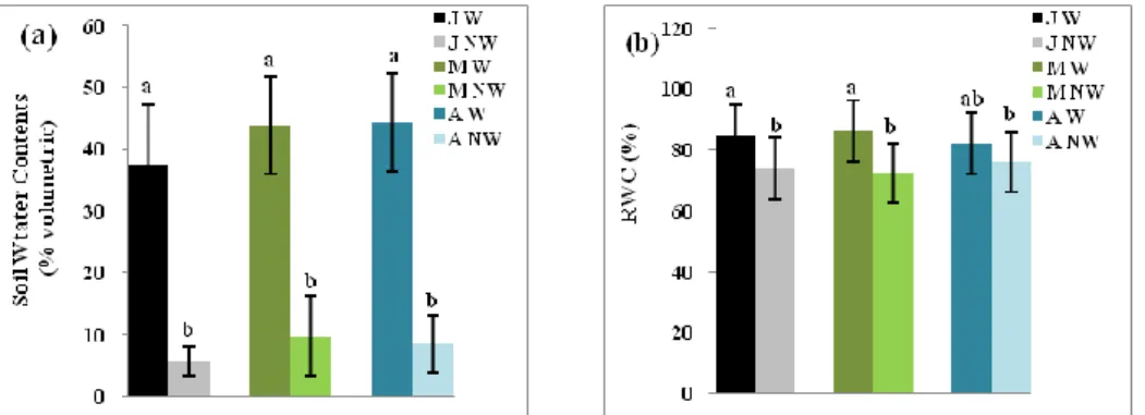 Figure 2.— Water status measurements (a) soil water contents and (b) relative water contents (RWC) in Quercus suber  seedlings from humid (J: Jijel), semi-arid (M: M’Sila) and sub-humid (A: Azazga) provenances in watered (W) and 